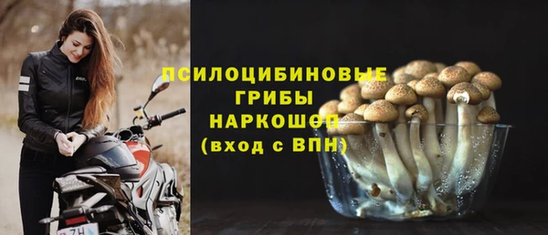 гидра Иннополис
