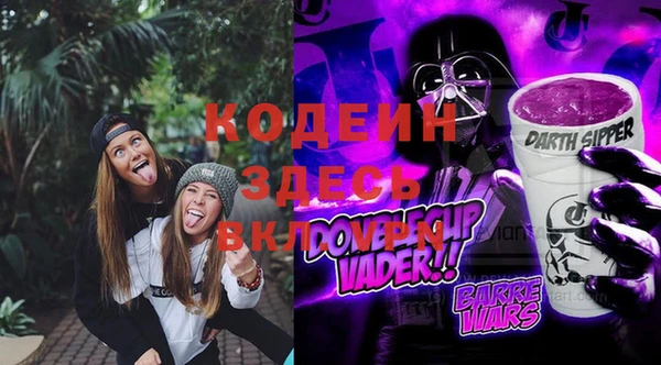 2c-b Инта