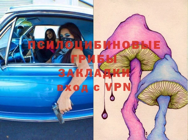 2c-b Инта