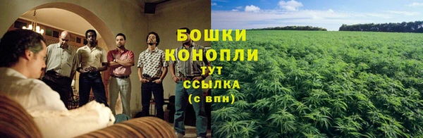 2c-b Инта